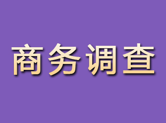 南市商务调查